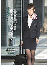 IPZ-522 Aino Kishi Stewardess JAV