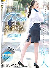 PRED-494 Iroha Kaga Slender JAV