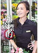 SHKD-727 Rika Mizuhara Various Worker JAV